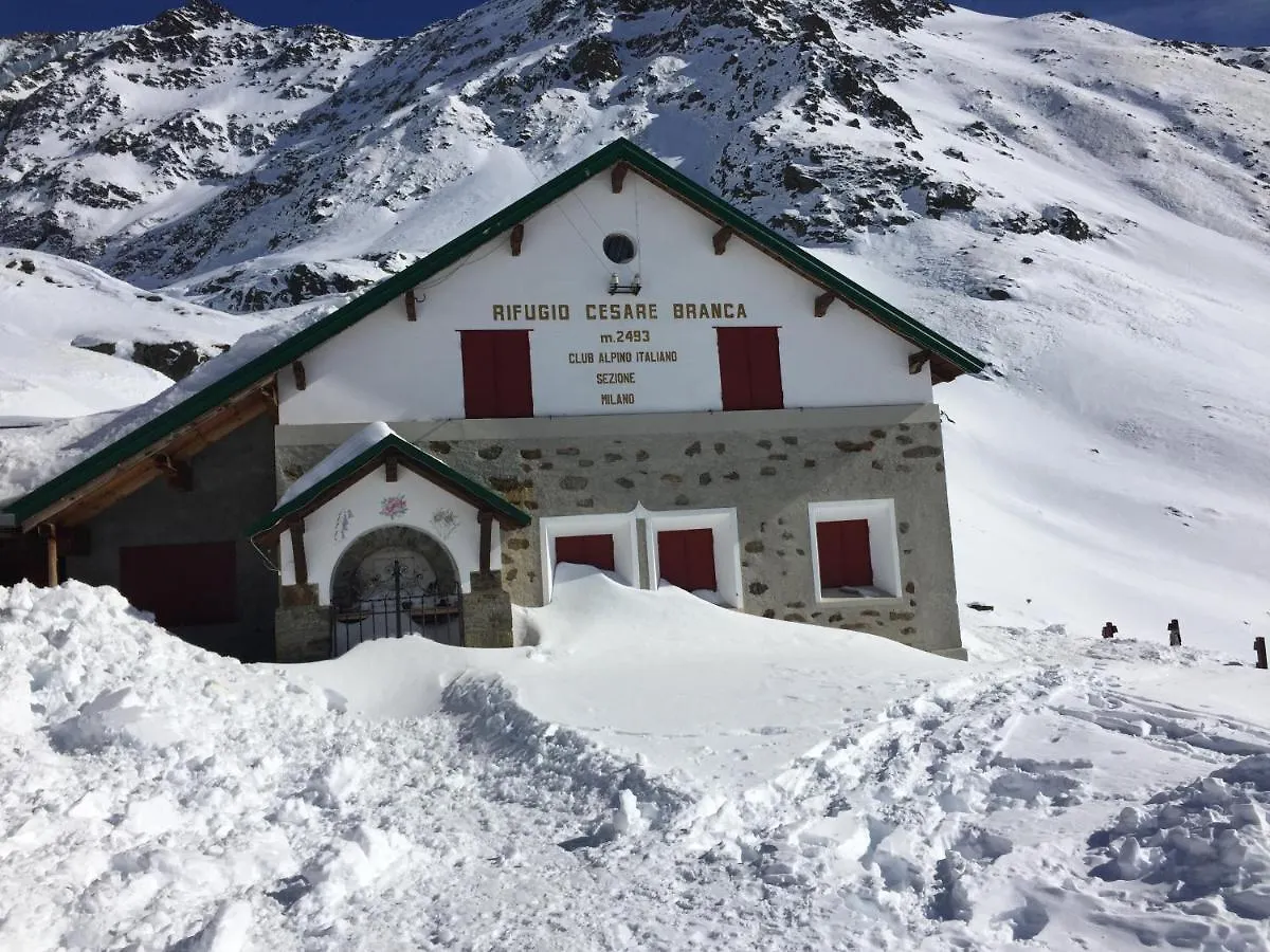 Alpine Chalet Santa Caterina Valfurva Italy