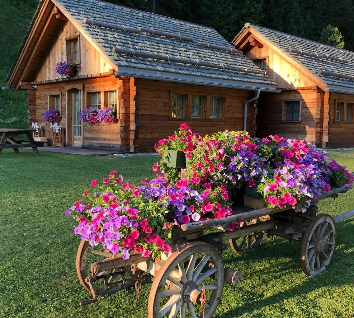 Alpine Chalet Santa Caterina Valfurva